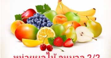 หน่วยผลไม้อนุบาล2/2