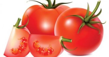 มะเขือเทศแสนอร่อย