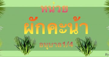 หน่วย ผักคะน้า อนุบาล1/4